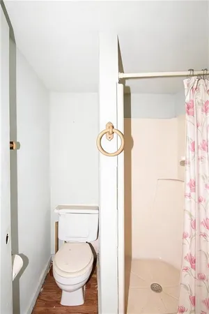 a bathroom with a shower and a toilet
