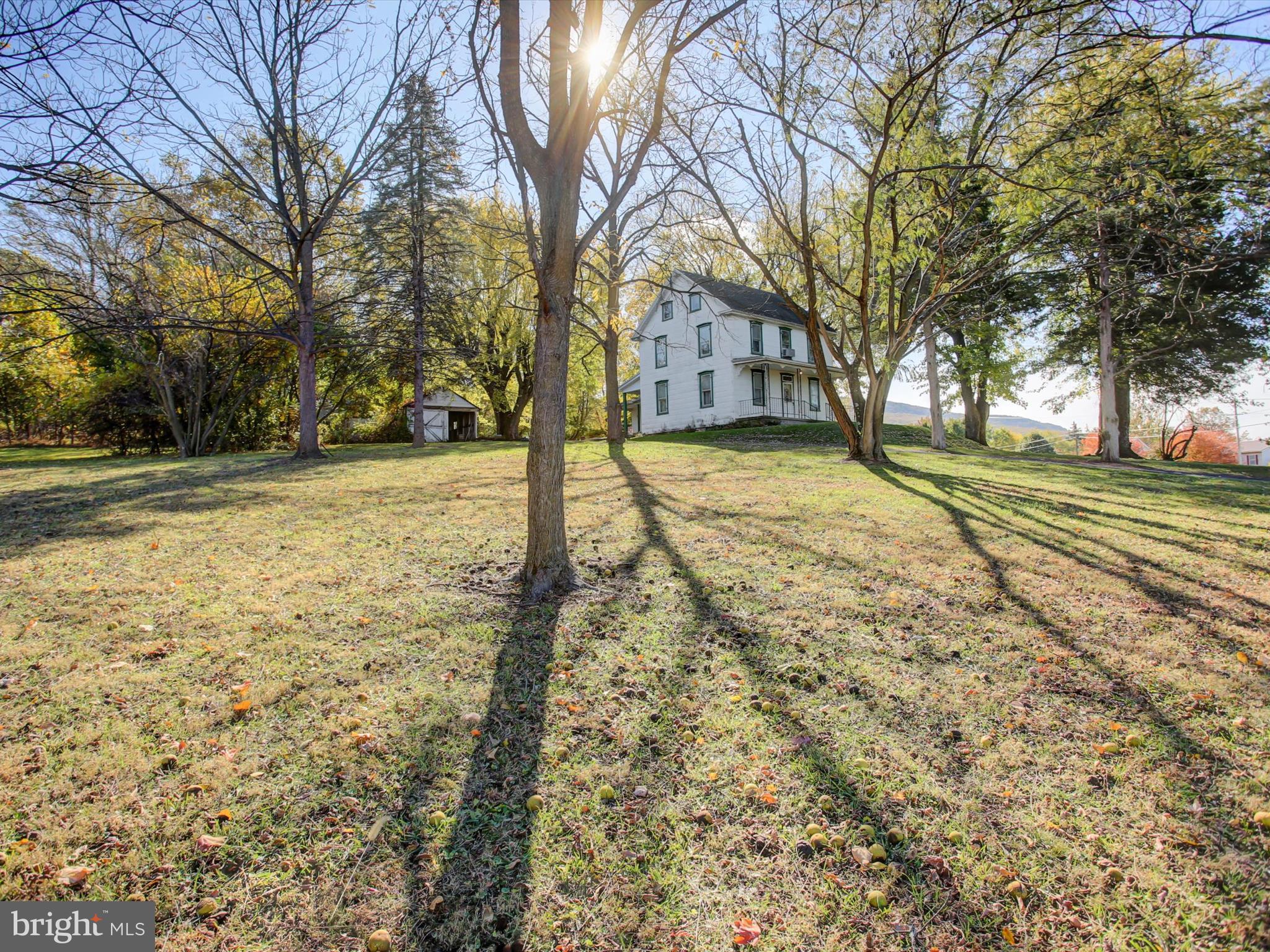 13740 Lower Edgemont Road Waynesboro, PA 17268 - Photo 30 of 34 a view of yard with trees