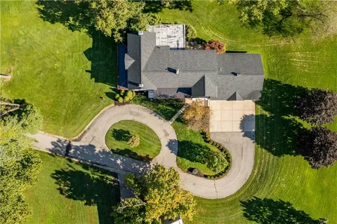 a view of a bunch of trees and a yard