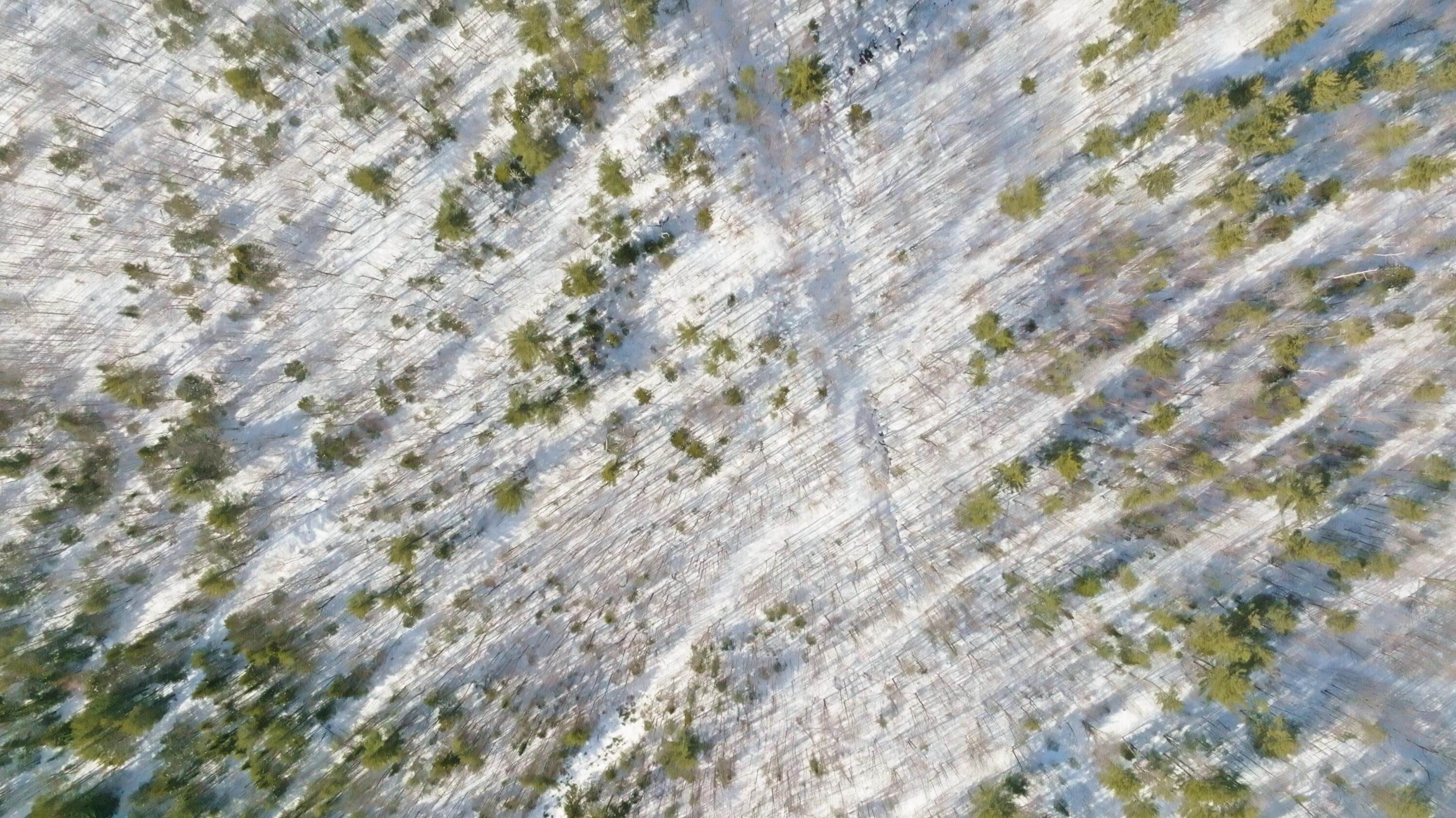 Lot 41 Redding Road Sumner, ME 04292 - Photo 21 of 22 Image_1.8.3