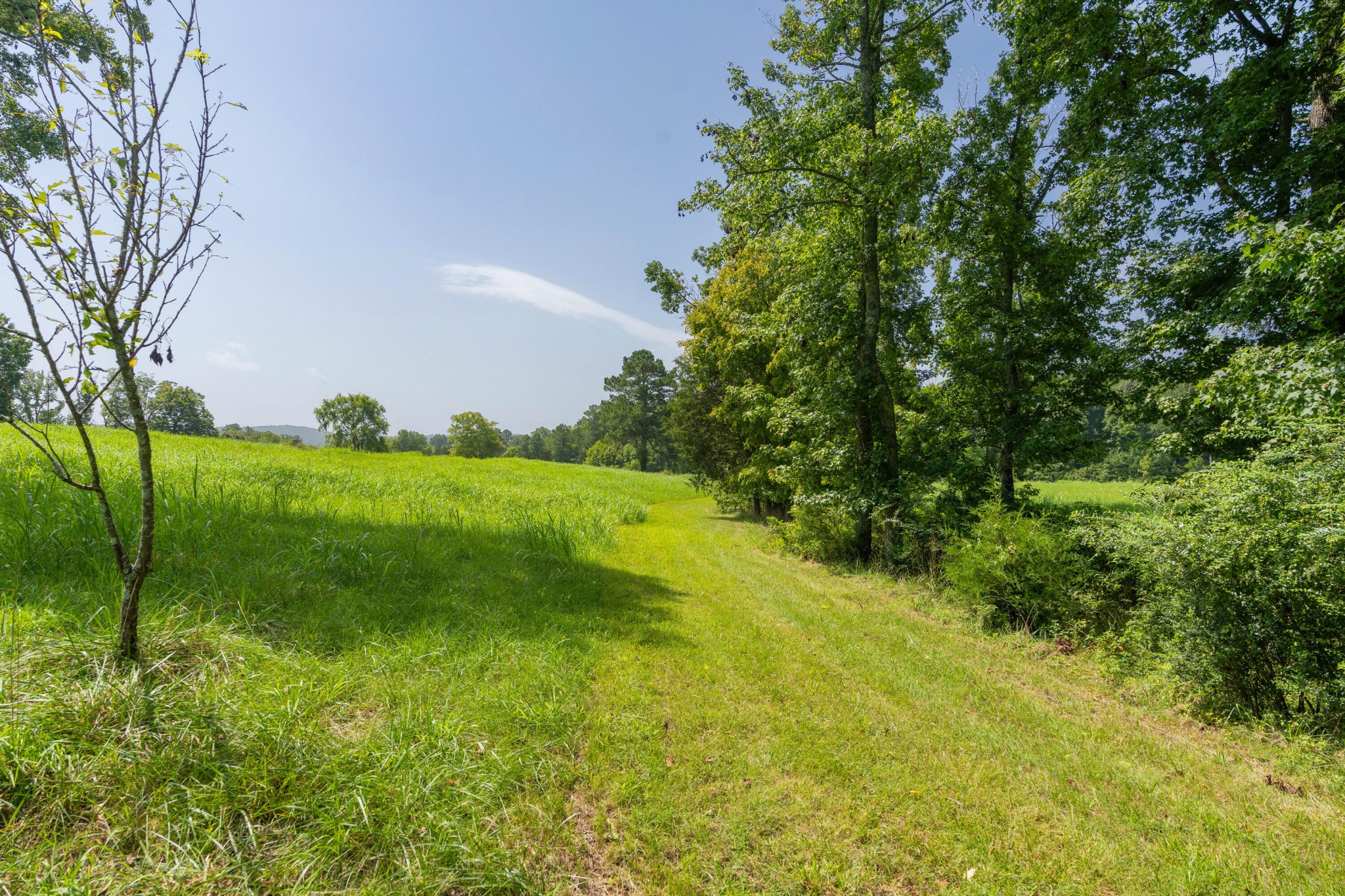 6935 Eureka Road Northwest Cleveland, TN 37312 - Photo 55 of 70 Gallery Image 55