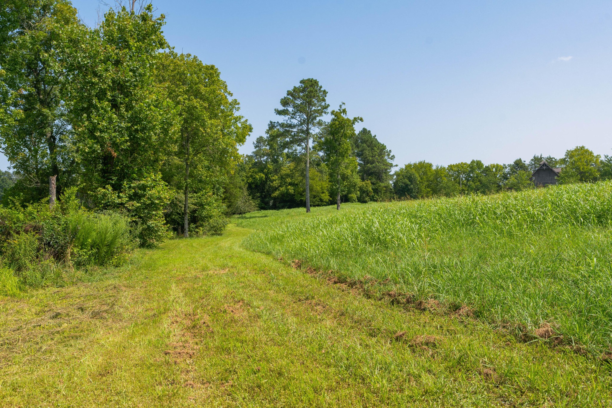 6935 Eureka Road Northwest Cleveland, TN 37312 - Photo 56 of 70 Gallery Image 56