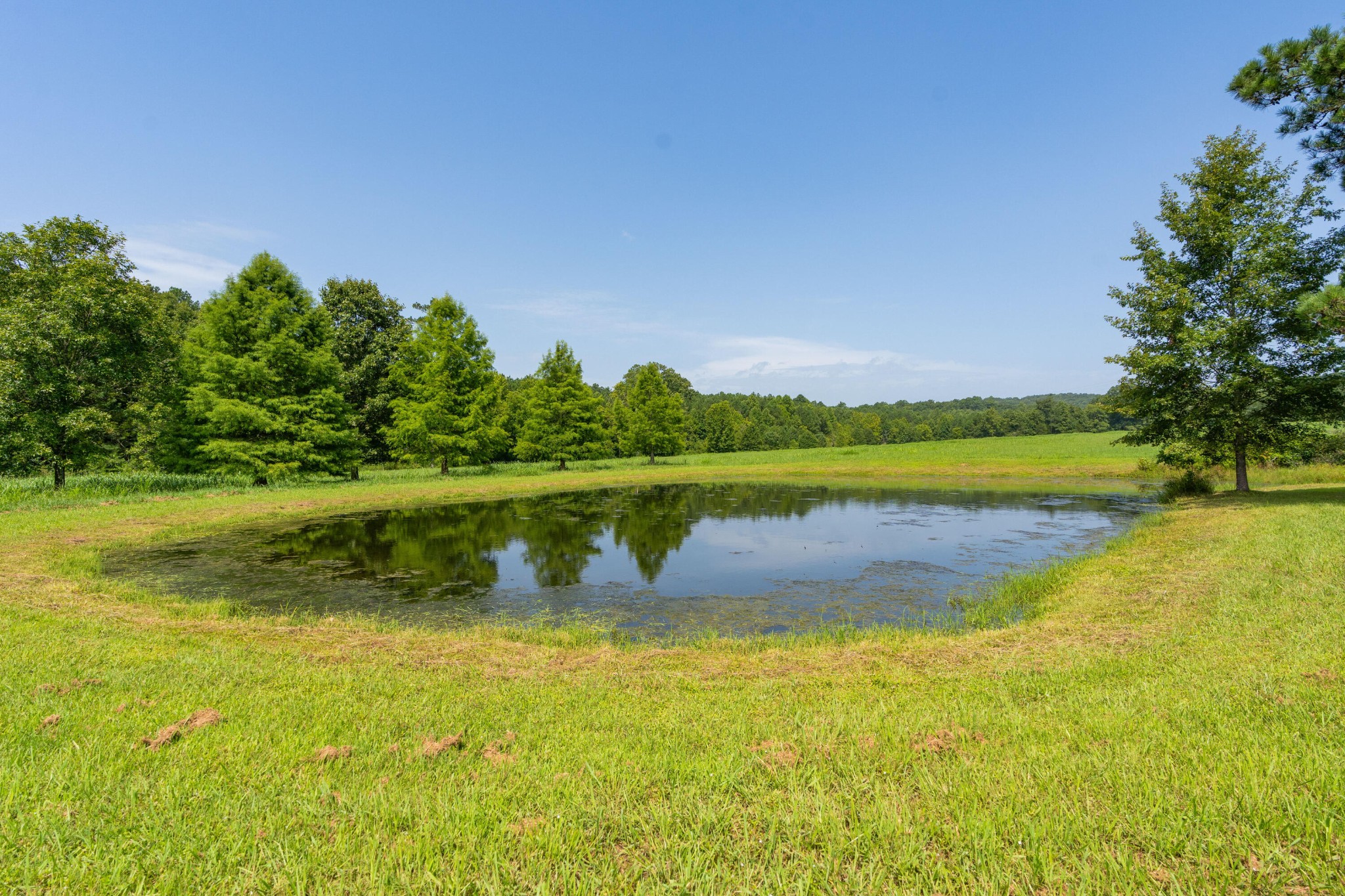 6935 Eureka Road Northwest Cleveland, TN 37312 - Photo 58 of 70 Gallery Image 58