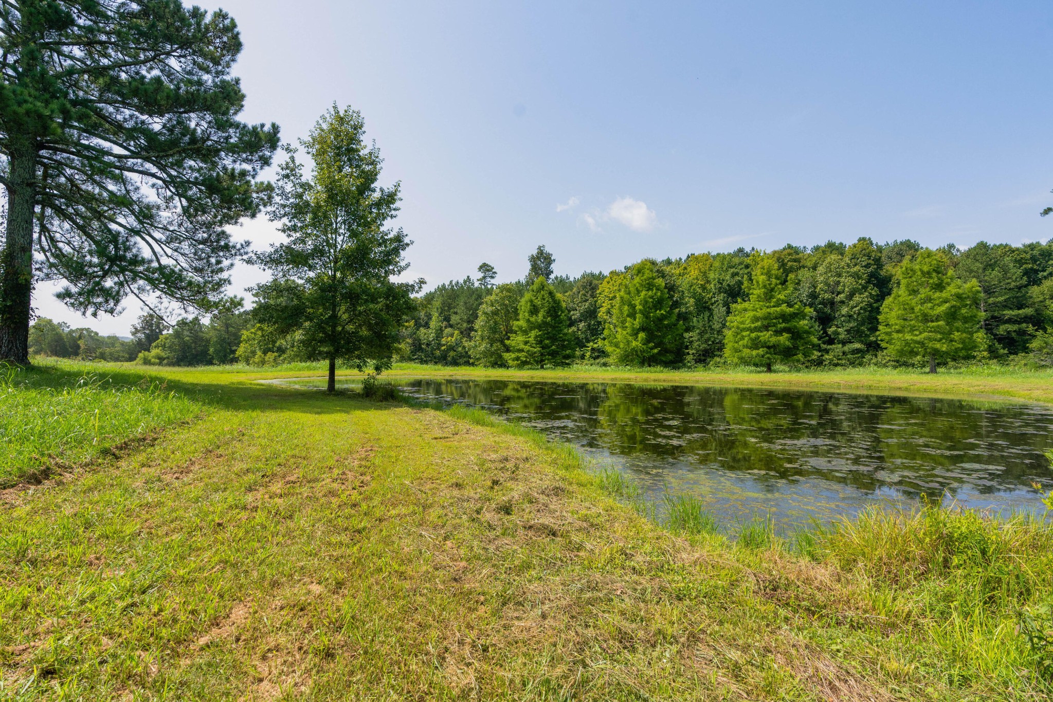 6935 Eureka Road Northwest Cleveland, TN 37312 - Photo 59 of 70 Gallery Image 59