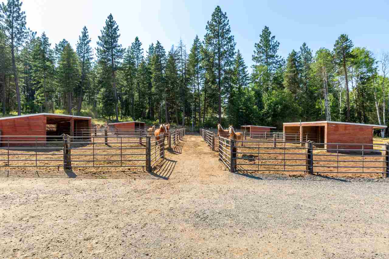 12406 East Blanchard Road Elk, WA 99009 - Photo 18 of 35