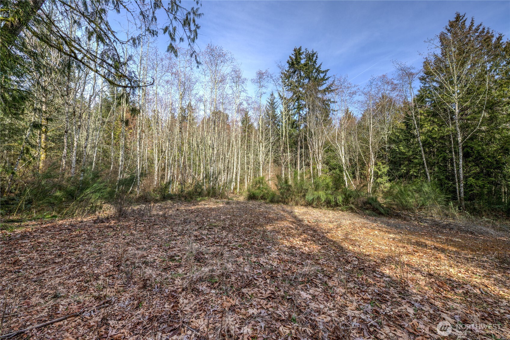 8679 Northeast Fox Den Lane, Unit LOT B Bainbridge Island, WA 98110 - Photo 12 of 12 a view of a backyard of a house