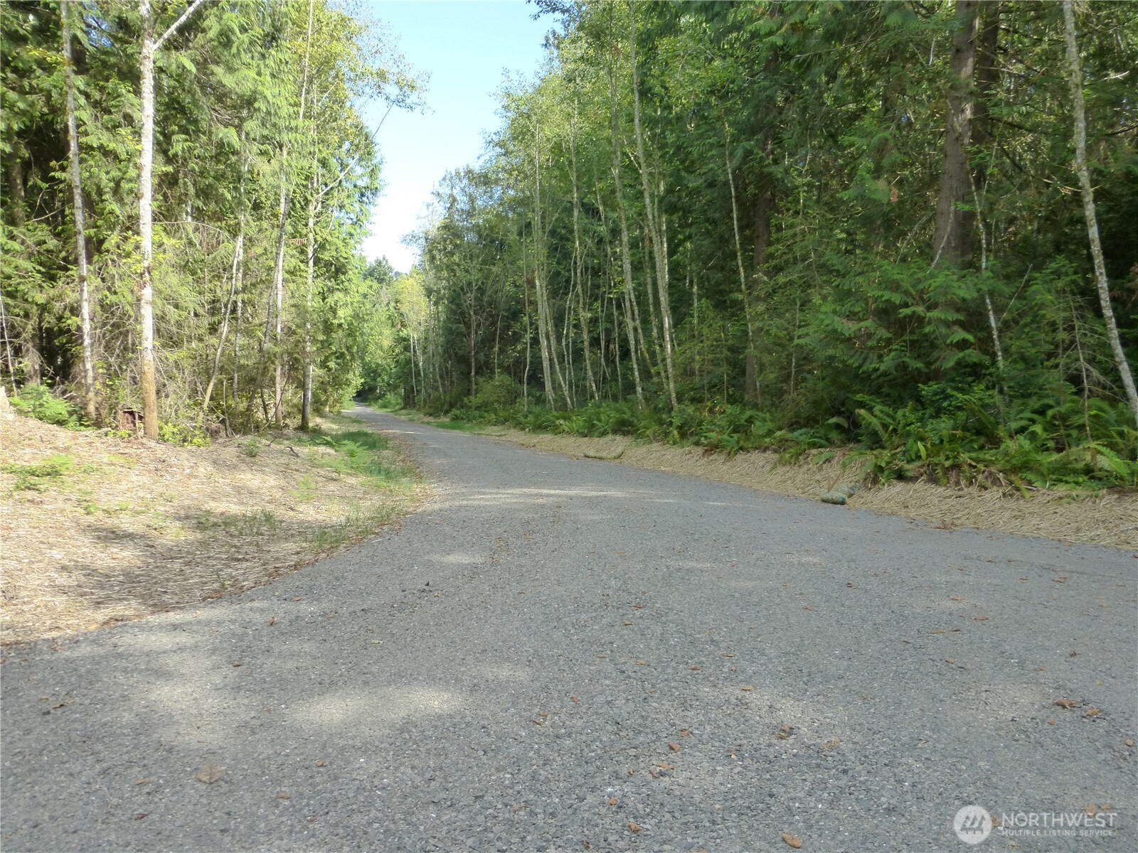 8679 Northeast Fox Den Lane, Unit LOT B Bainbridge Island, WA 98110 - Photo 2 of 12 a view of a dirt road with trees in the background