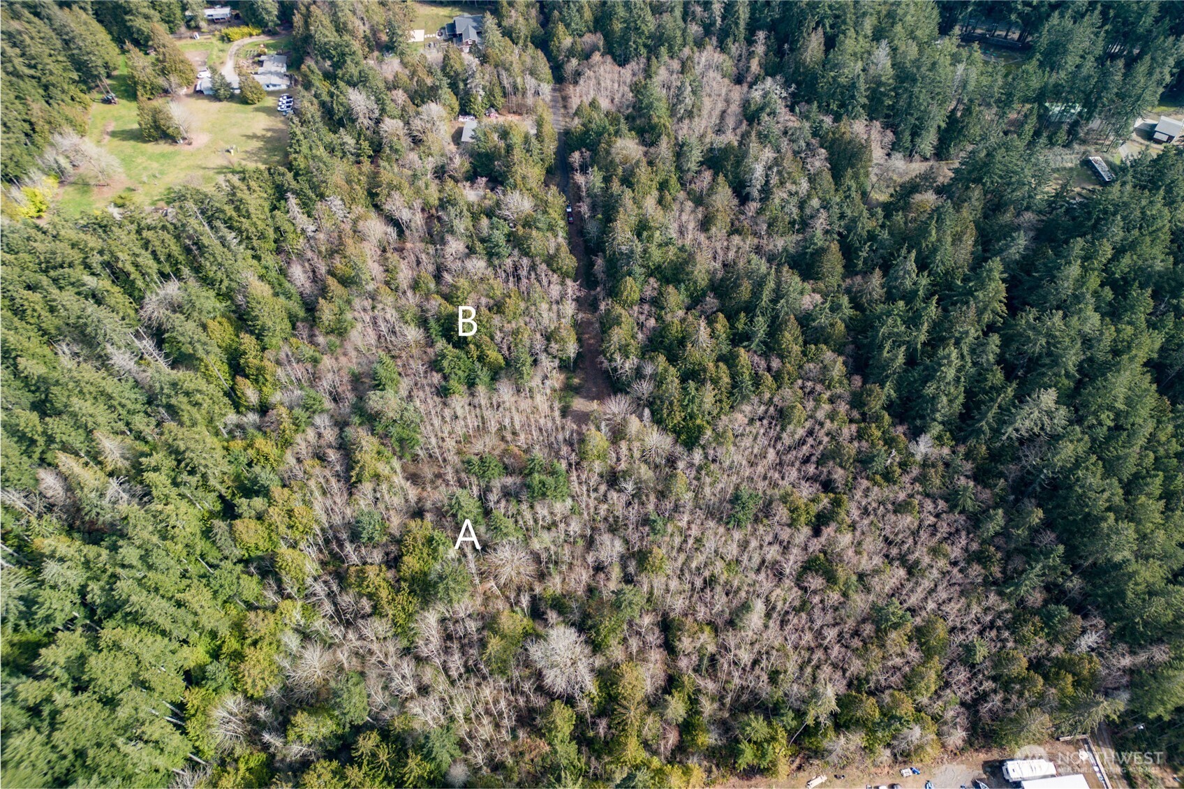 8679 Northeast Fox Den Lane, Unit LOT B Bainbridge Island, WA 98110 - Photo 5 of 12 a view of a lush green forest