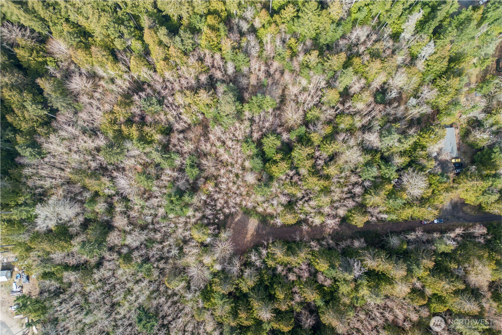 8679 Northeast Fox Den Lane, Unit LOT B Bainbridge Island, WA 98110 - Photo 10 of 12