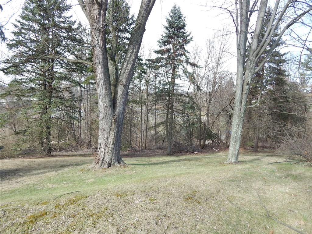 2009 Mohawk Road Upper St. Clair, PA 15241 - Photo 11 of 15 BACKYARD - Treed backyard