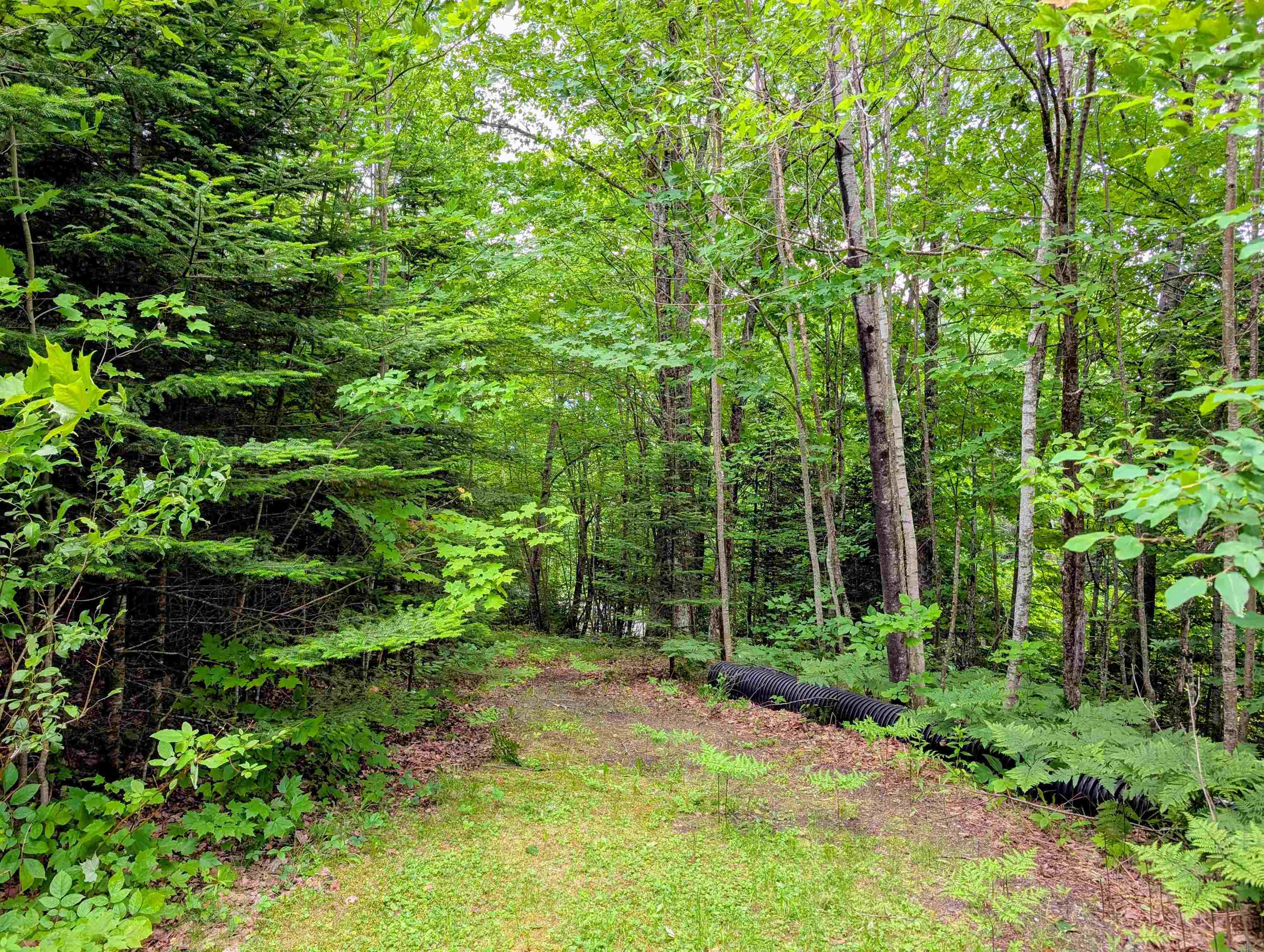 16 Griffin Road Stewartstown, NH 03576 - Photo 16 of 41