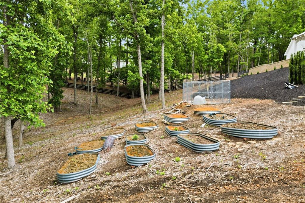 180 Laurel Ridge Lane Ball Ground, GA 30107 - Photo 70 of 71