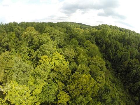 6546 Porters Branch Road Santa Fe, TN 38482 - Photo 5 of 9