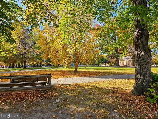 a view of yard with swimming pool and trees in the background