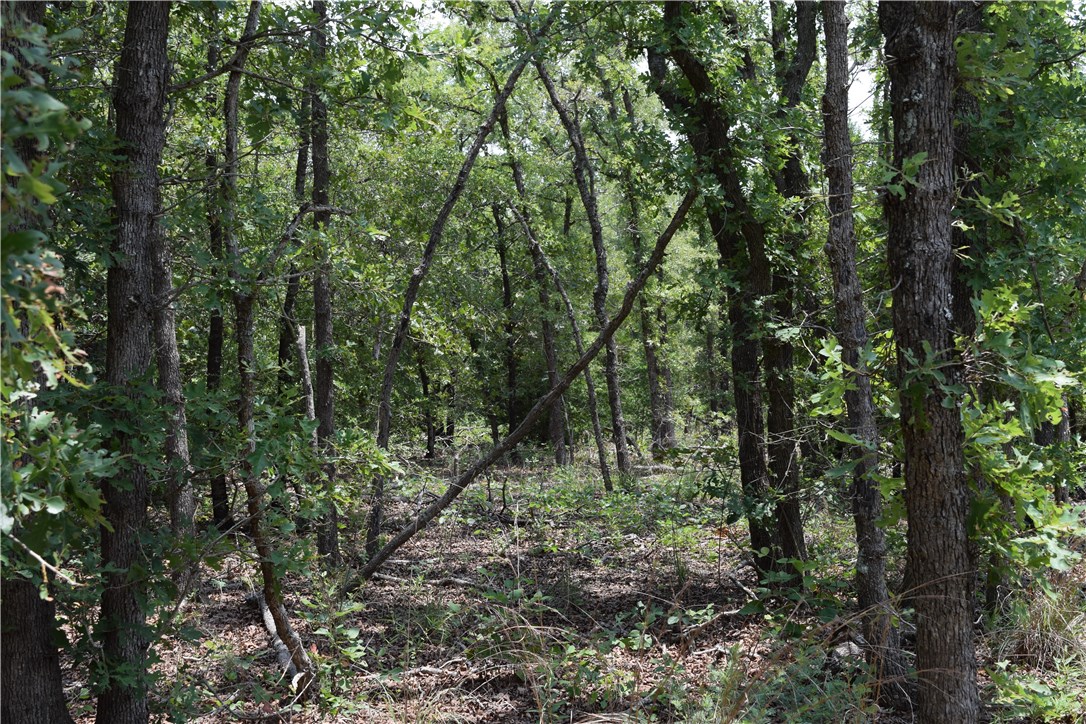 Tba Whipperwill Lane Elgin, TX 78621 - Photo 1 of 1 Gallery Image 1