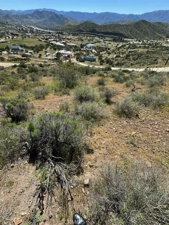 a view of a city with lush green forest