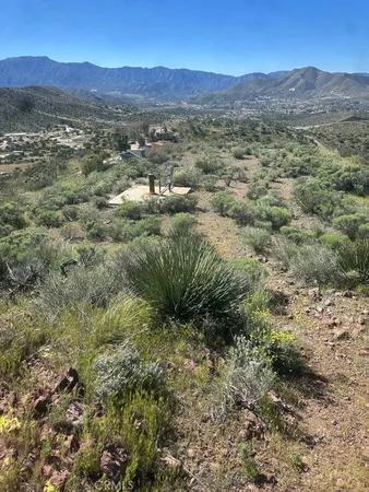 a view of a forest with mountains in the background