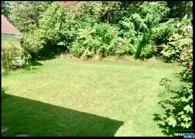 a view of yard with green space
