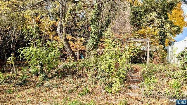 a close up of a plant