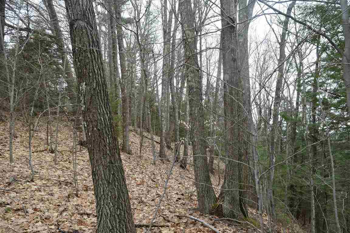 1457 Buffalo Road Rumney, NH 03266 - Photo 17 of 18