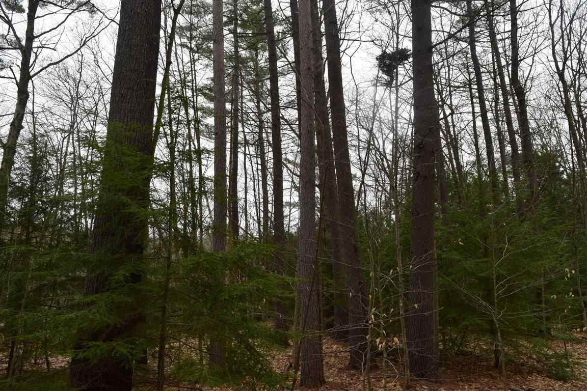 1457 Buffalo Road Rumney, NH 03266 - Photo 18 of 18