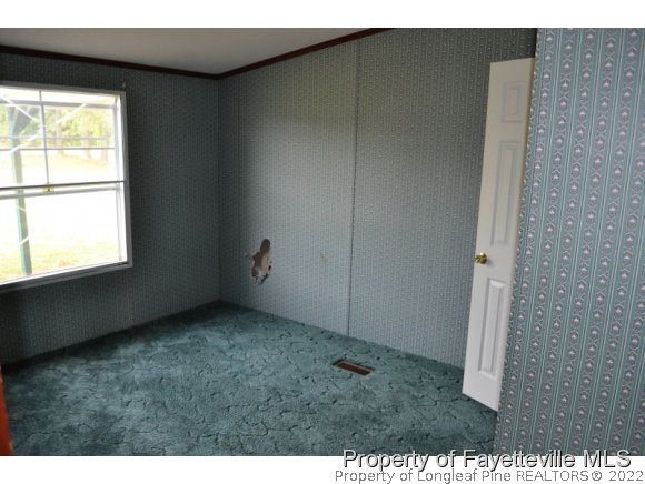 890 Maynard Lake Road Erwin, NC 28339 - Photo 5 of 6 Gallery Image 5