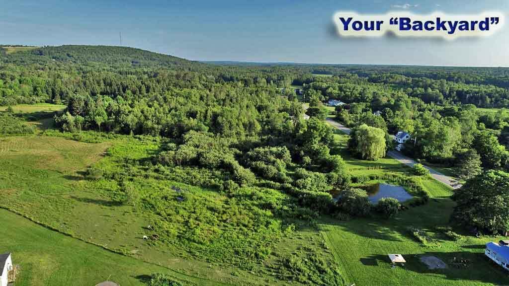 188 Hodgdon Mills Road Hodgdon, ME 04730 - Photo 13 of 57 whats-out-back