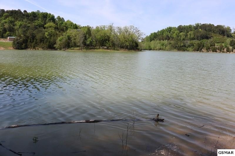 0 Lot 35 Buck Horn Road Sevierville, TN 37876 - Photo 3 of 30