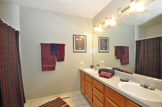 527 North Sheridan Road Waukegan, IL 60085 - Photo 12 of 25 a bathroom with a double vanity sink mirror and double