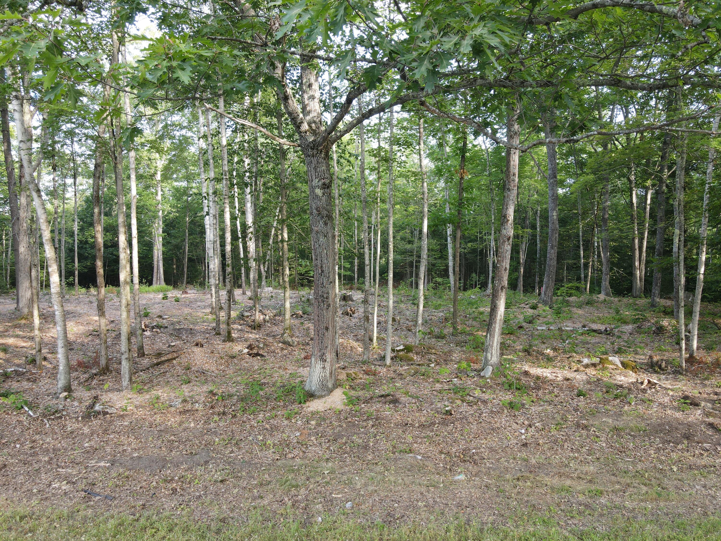 Lot 4 Oak Pond Road Canaan, ME 04924 - Photo 1 of 8 dji_fly_20250807_075546_586_175457142058