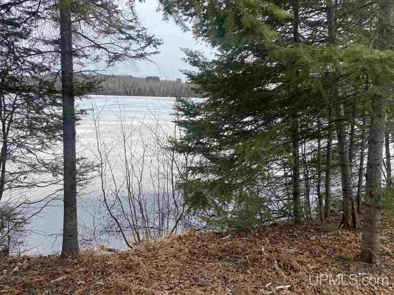 Tbd West Tamarack Lake Road, Unit 17 Iron River, MI 49935 - Photo 24 of 45