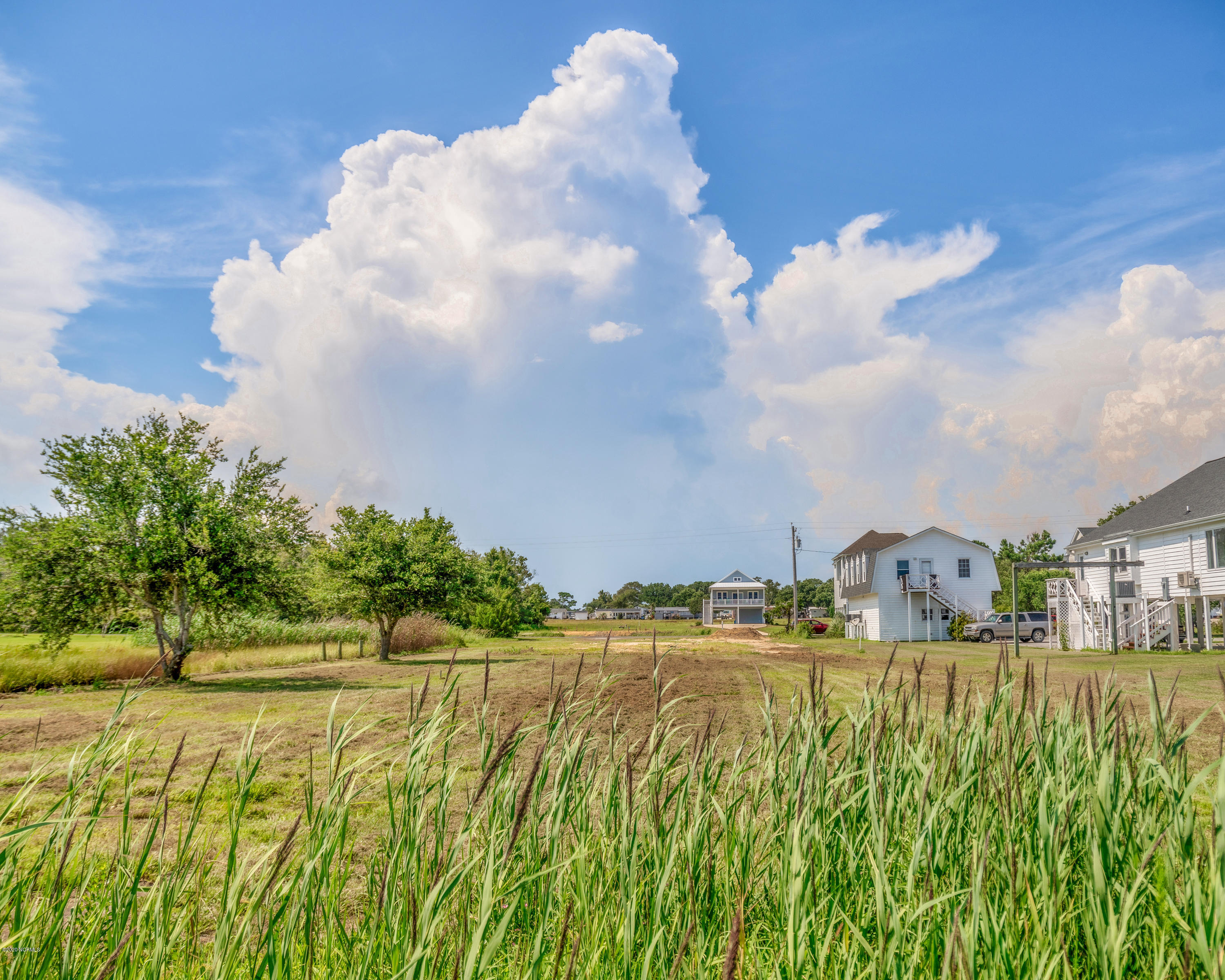 271 Live Oak Road Newport, NC 28570 - Photo 8 of 11 In the tall grass looking toward the road