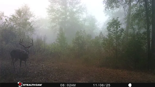 a view of a house with a big yard