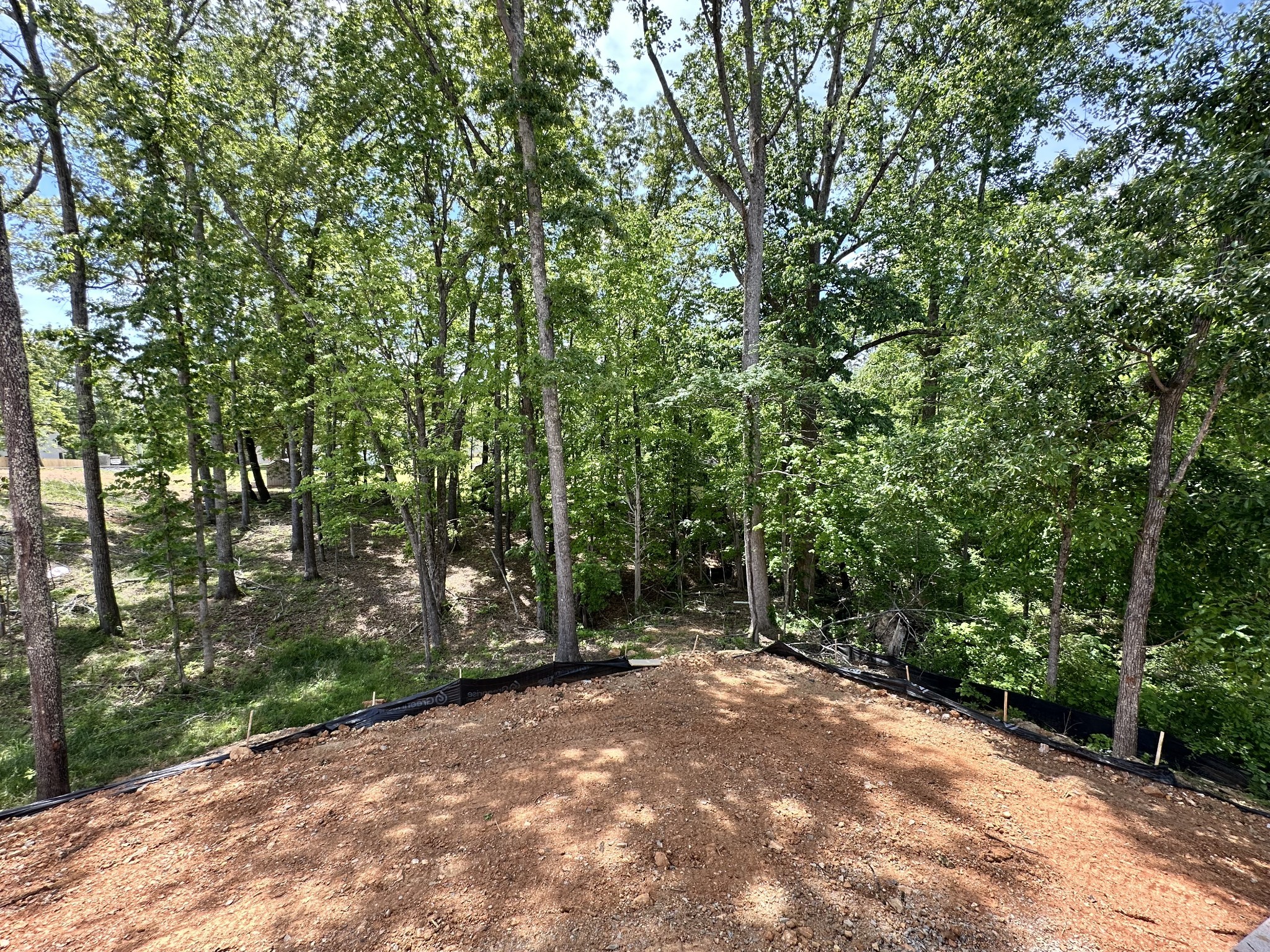 7208 Severide Street Fairview, TN 37062 - Photo 17 of 85