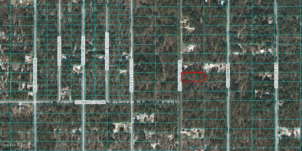 0 Southwest Obee Ridge Road, Unit 30 Dunnellon, FL 34431 - Photo 1 of 1 Aerial View