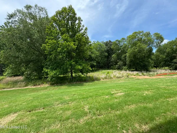 $361,000 | 4251 Olivia Circle West, Olive Branch, MS 38654