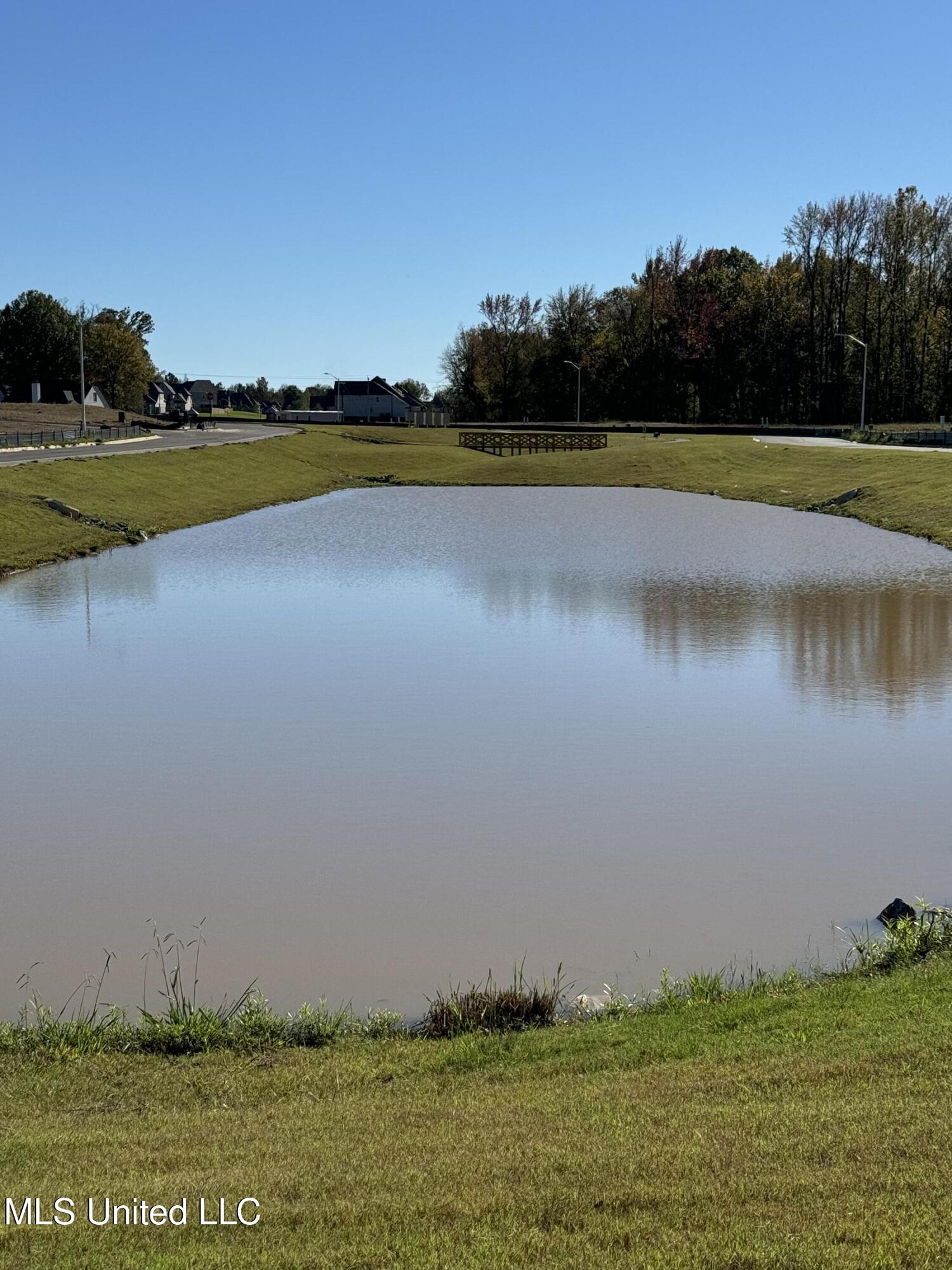 4251 Olivia Circle West Olive Branch, MS 38654 - Photo 24 of 30 IMG_3739