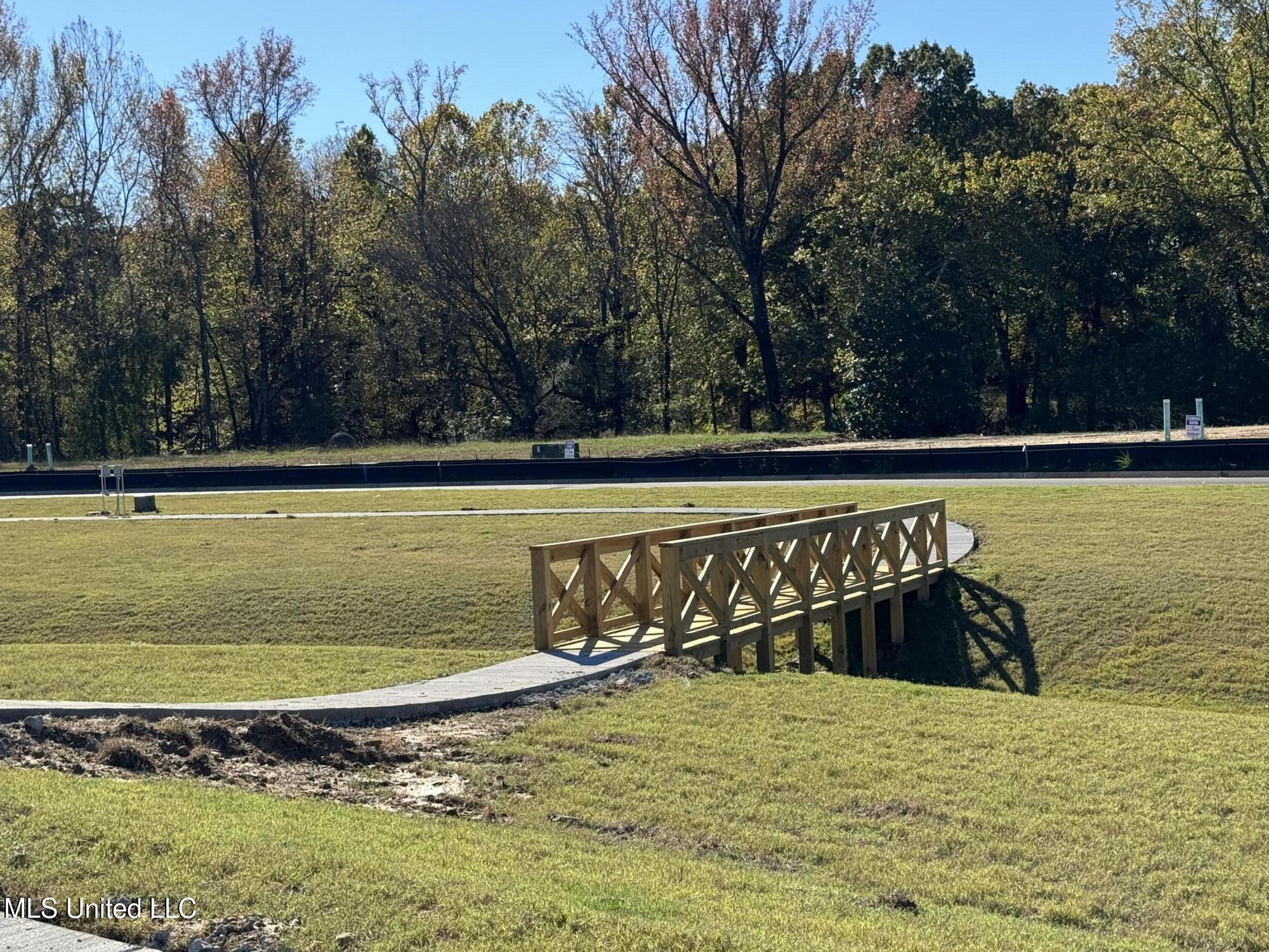 4251 Olivia Circle West Olive Branch, MS 38654 - Photo 25 of 30 IMG_3741