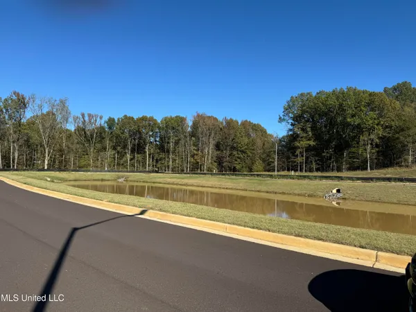 $361,000 | 4251 Olivia Circle West, Olive Branch, MS 38654