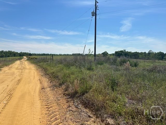 2905 Donald Cobb Road Bartow, GA 30413 - Photo 2 of 8