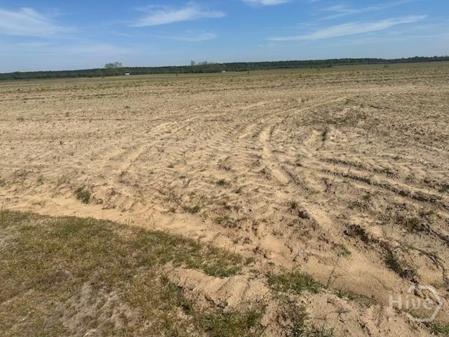 2905 Donald Cobb Road Bartow, GA 30413 - Photo 4 of 8