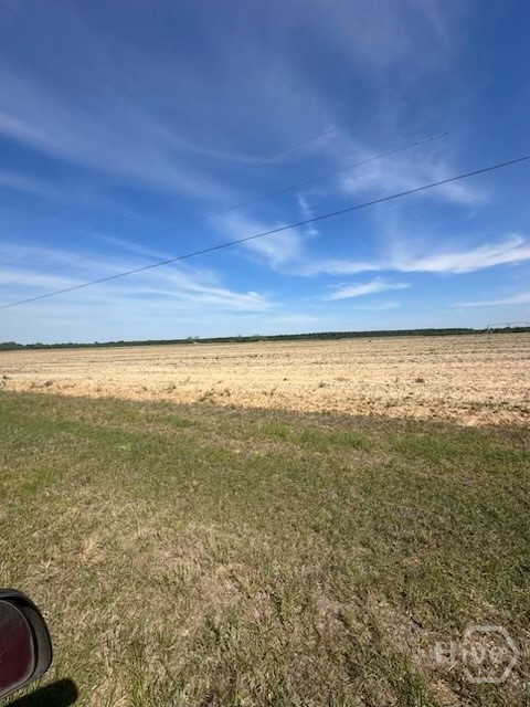 2905 Donald Cobb Road Bartow, GA 30413 - Photo 5 of 8