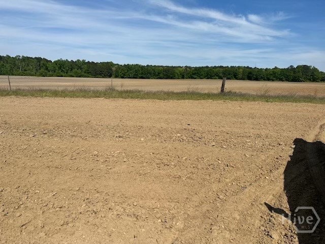 2905 Donald Cobb Road Bartow, GA 30413 - Photo 6 of 8