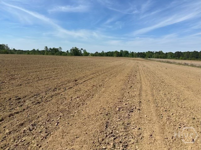 2905 Donald Cobb Road Bartow, GA 30413 - Photo 7 of 8