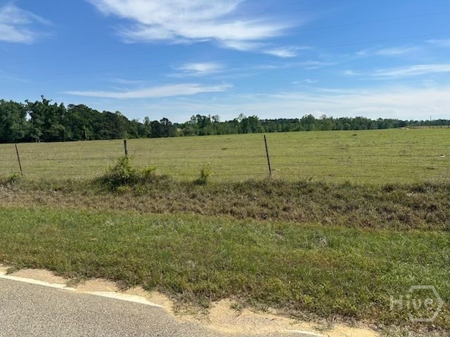 2905 Donald Cobb Road Bartow, GA 30413 - Photo 8 of 8