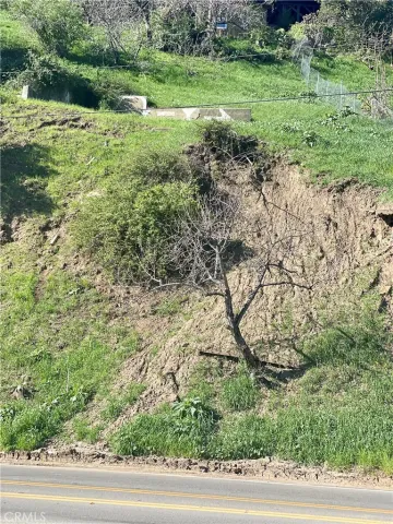 a view of a field with plants and trees