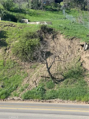 a view of a yard with a tree