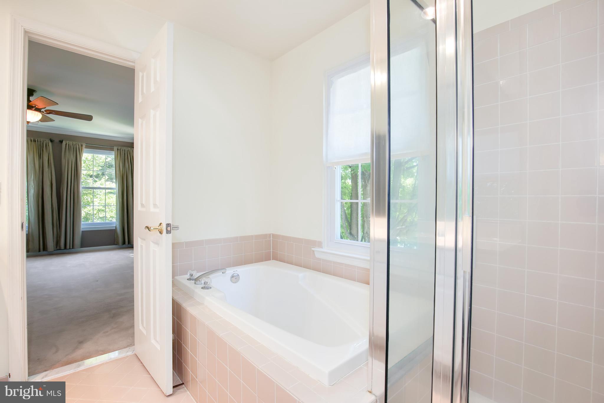 20309 Swallow Point Road Gaithersburg, MD 20886 - Photo 25 of 30 Bath (Master)