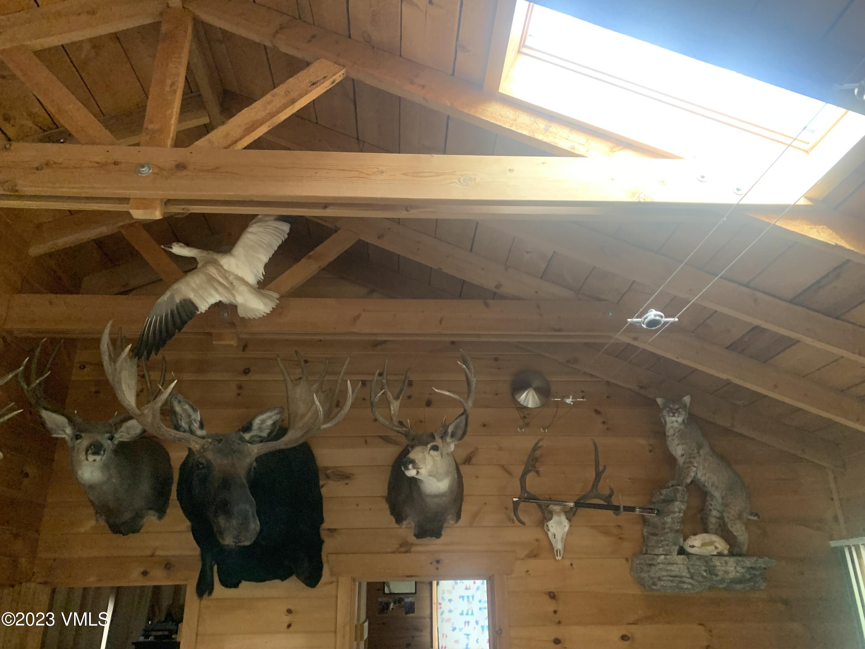 500 Sweetwater Road Gypsum, CO 81637 - Photo 2 of 10 a close view of shoes