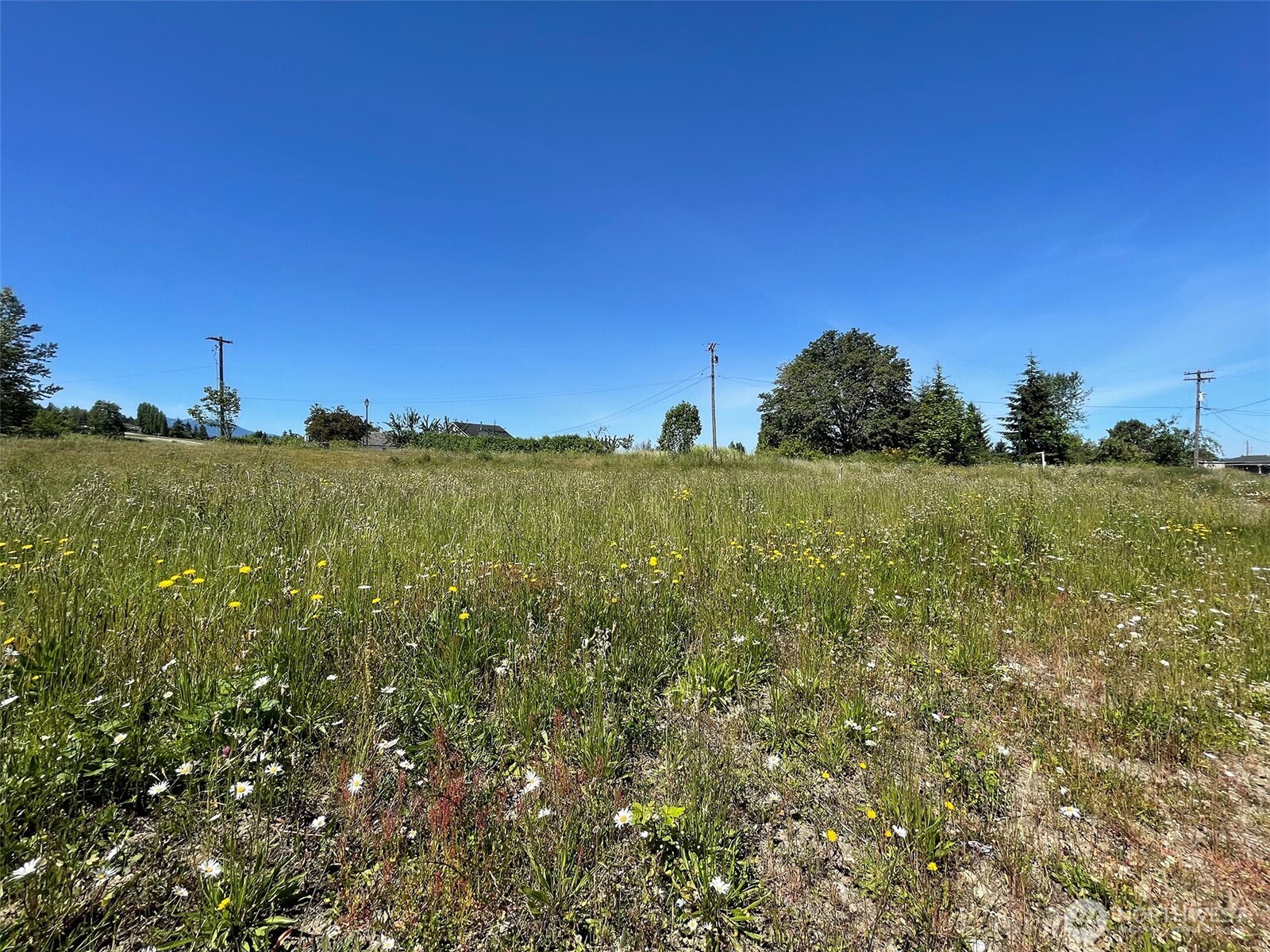 842 South Still Road Sequim, WA 98382 - Photo 8 of 13 Gallery Image 8